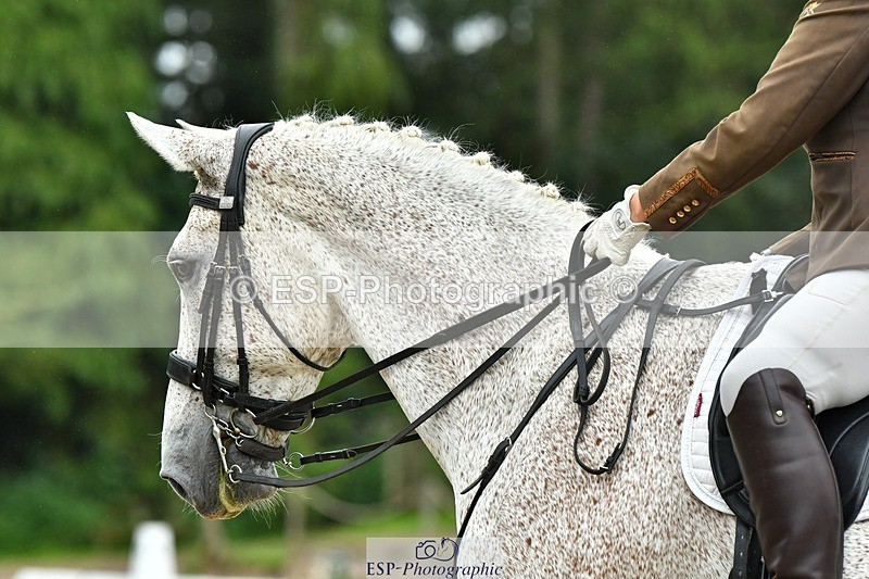 230722-160629-03864 - Cls 5, Elementary Silver 15.10 to End