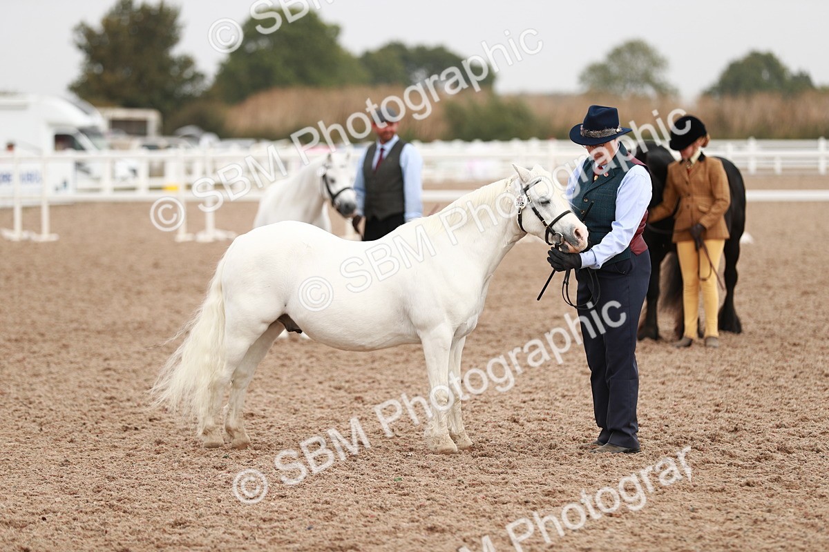 SBM_12507 - Class 207 IH M&M