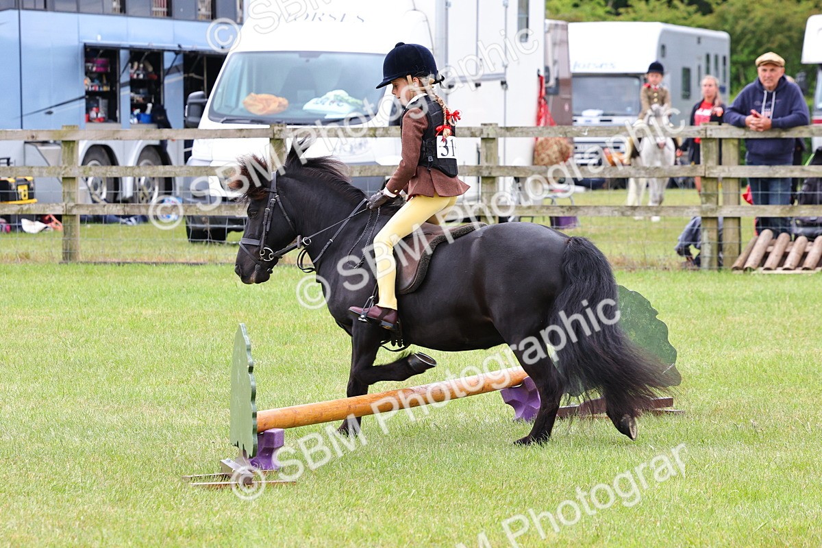 SBM_08674 - Class 42-43 - LIHS BSPS Heritage Working Sports Pony