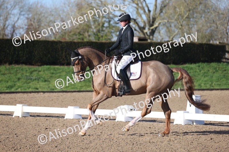 20260128-0179 - Class 3 - Novice 4