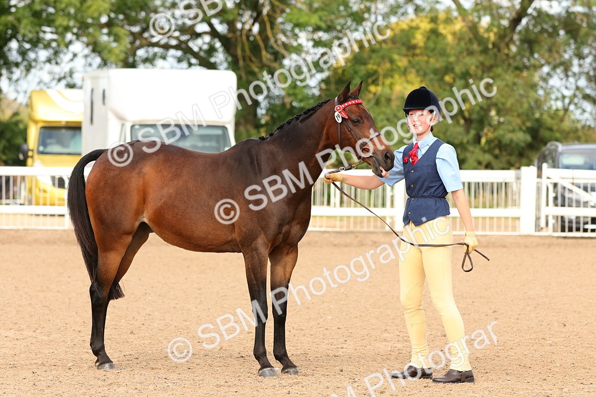 SBM_10184