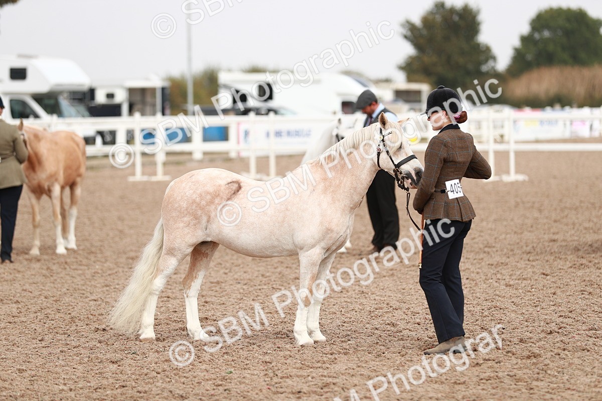 SBM_12512 - Class 207 IH M&M