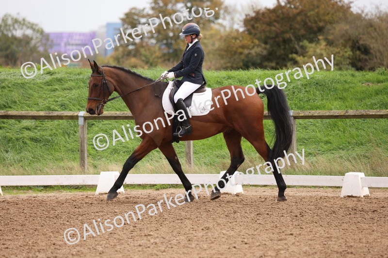 20251021-0515 - Class 5 - Novice 2