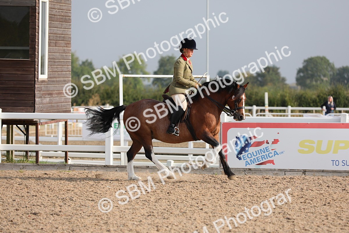 SBM_10100 - Class 302 Ridden M&M -Large Breeds