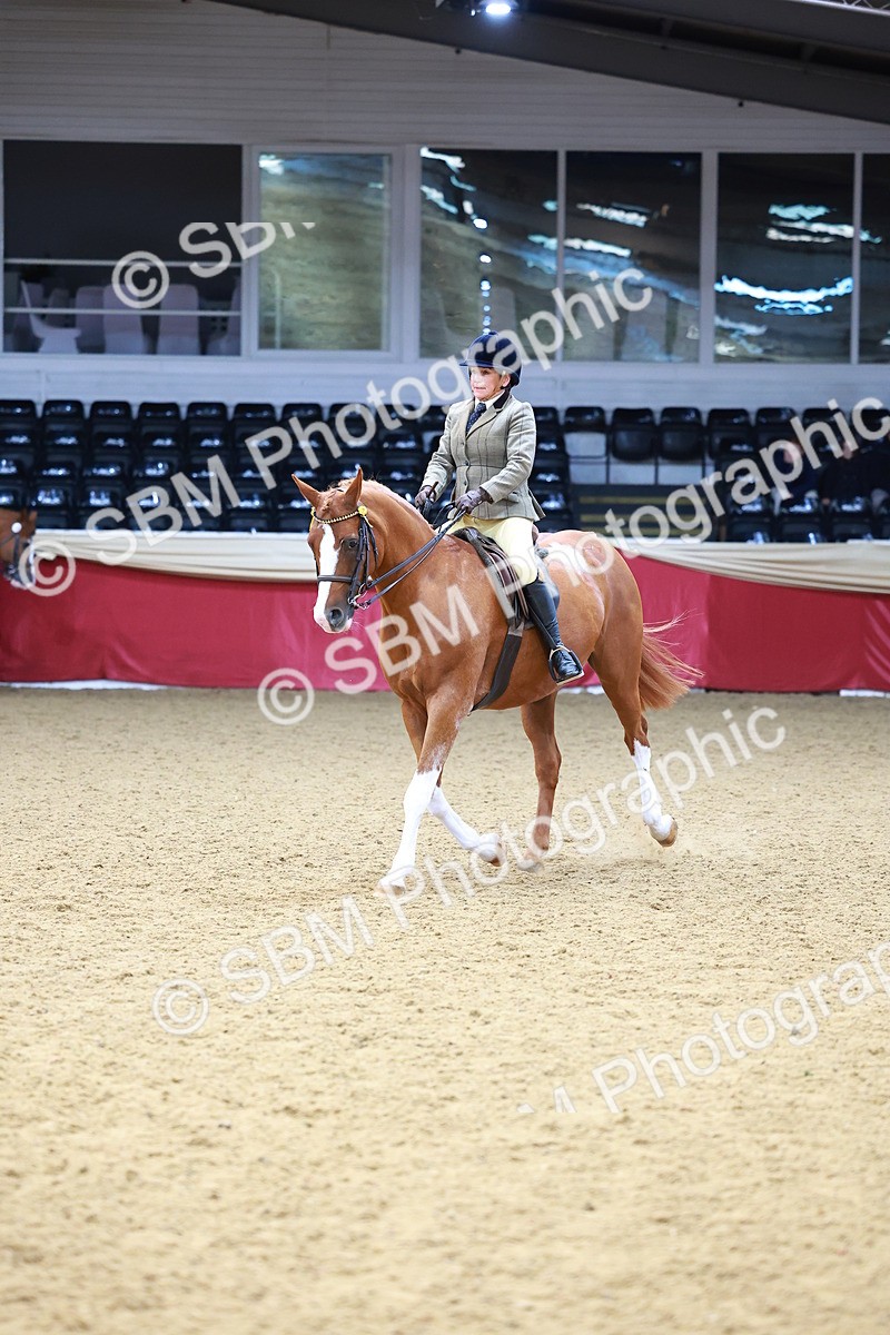 SBM_00764 - Class 6A - Ridden Pre-Vet