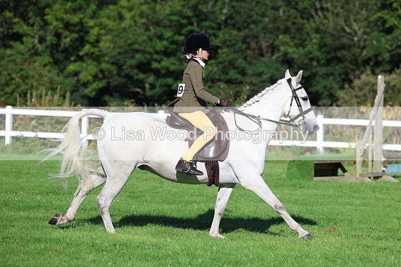 3E7A7514 - Class 1: Novice Working Hunter Pony