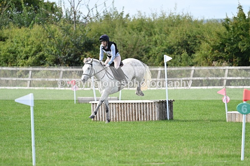 WJ7_8461 - 60cm Pairs