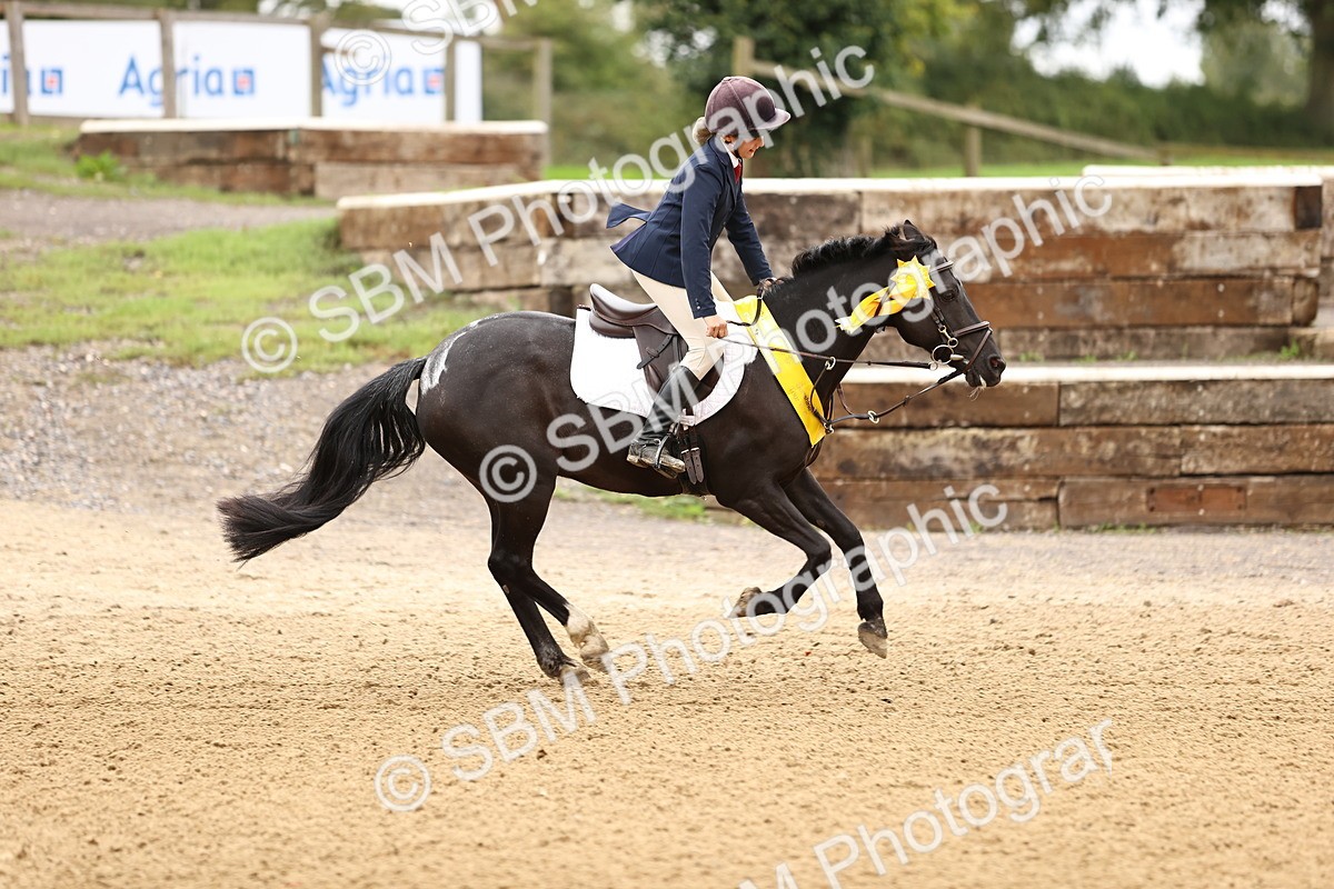 SBM_66737 - J17 - Junior Pony 80cm Championship