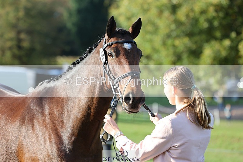 241027-093908-15420 - 364-Rose.Dalrymple-KMP.HEARTS.DESIRE