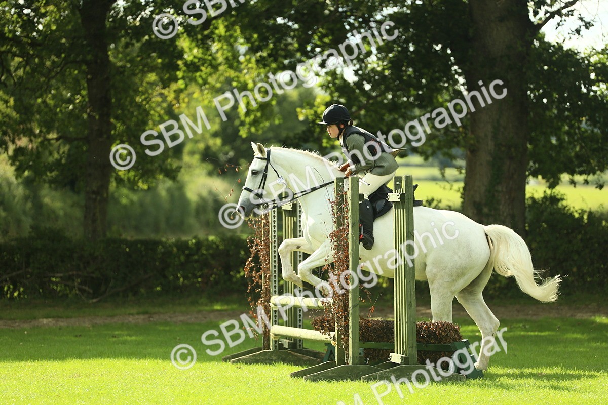 SBM_48037 - S32 - Novice & Newcomers Working Hunter