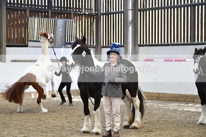 WJ5_5106 - Class 7 In hand coloured / odd coloured