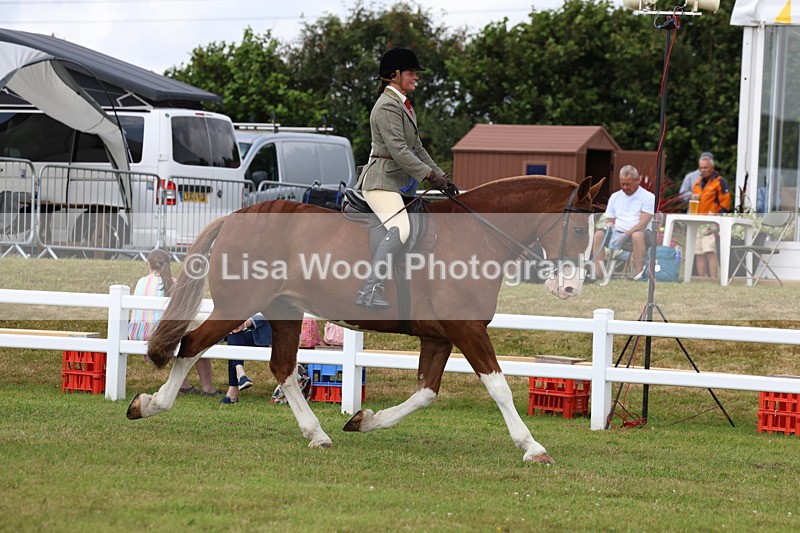 3E7A0469 - Rising Star Ridden Championship