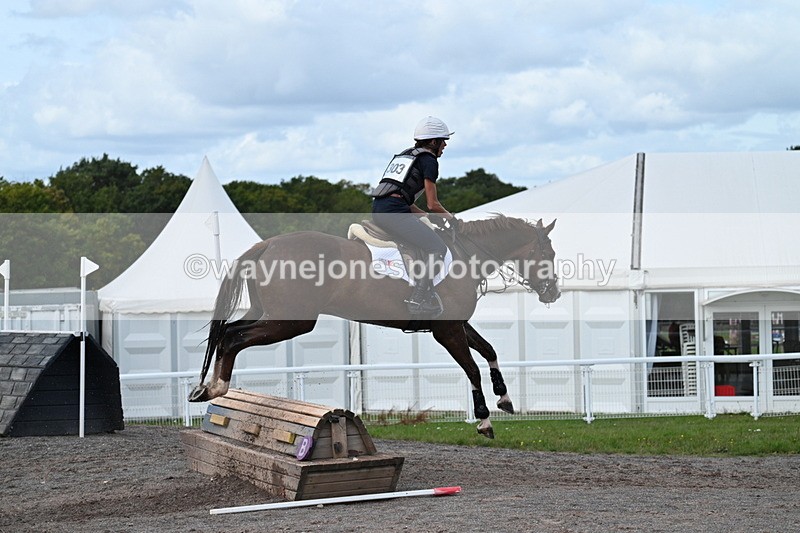 WJ7_1632 - Time 12:34 to 13:16