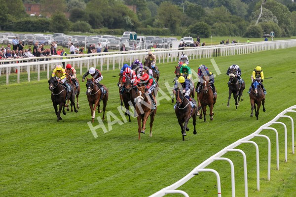 160524-Race 2-Point Lynas-1792 - Race 2 2.45pm Oakmere Homes Hambleton Handicap