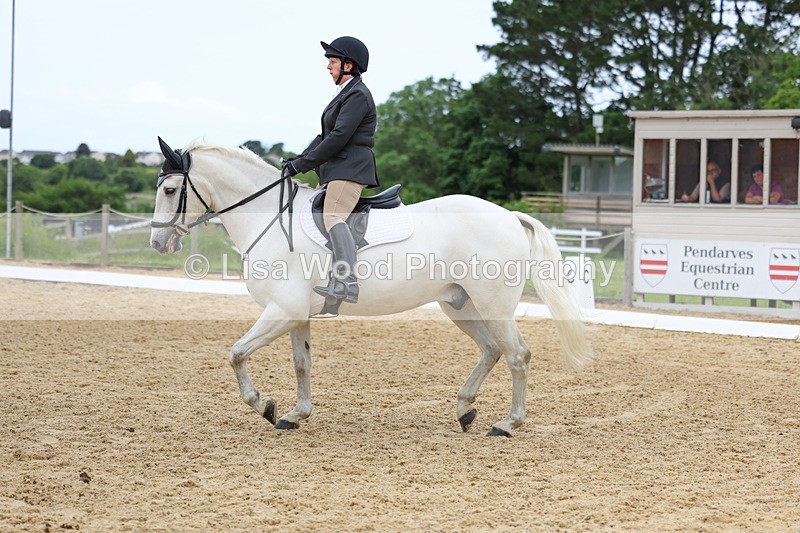 3E7A9503 - Class 2: Intro 1 2024 Section B