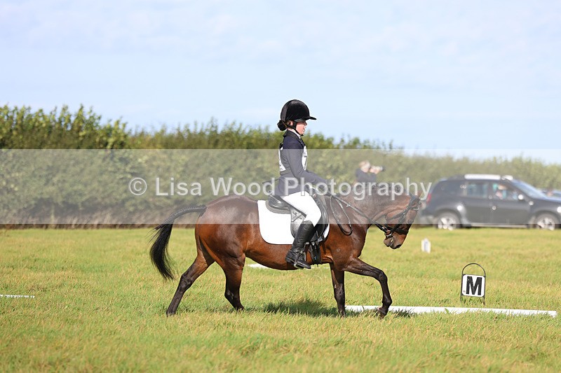 3E7A5955 - Class 1: Trebudannon Open: Dressage (Part 2)