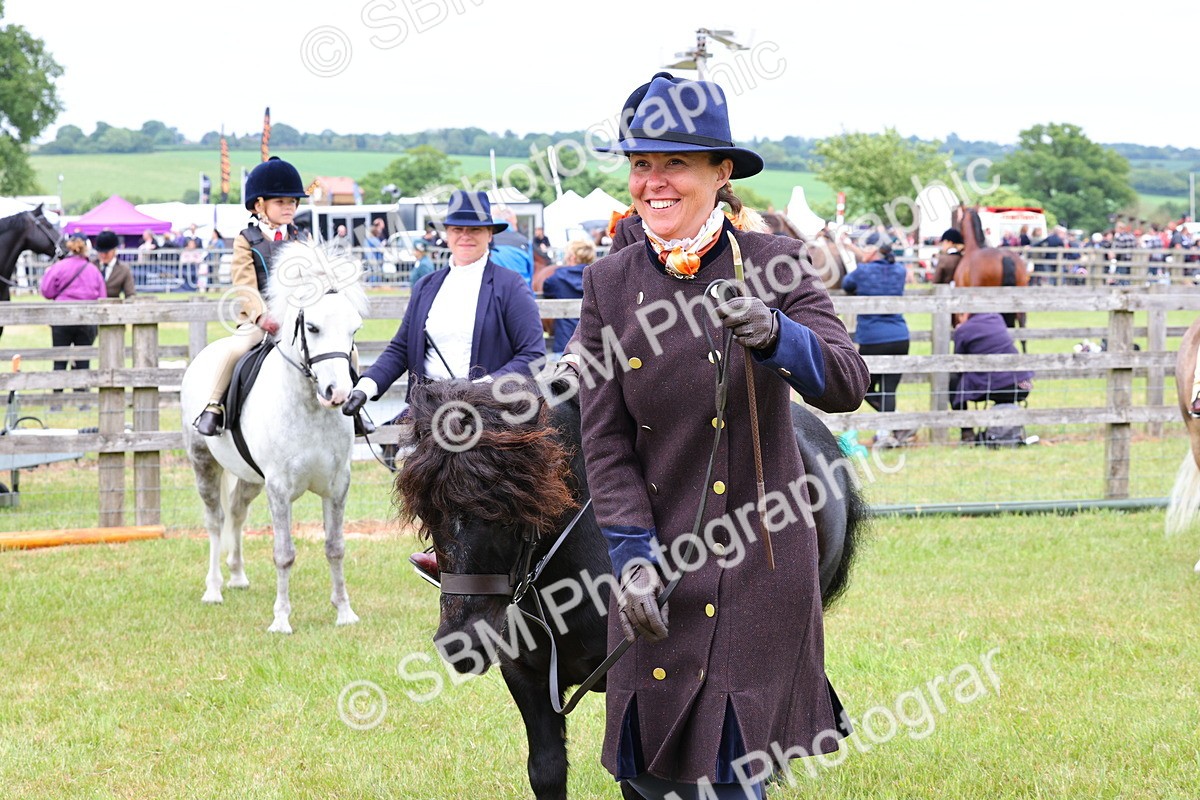 SBM_08337 - Class 42-43 - LIHS BSPS Heritage Working Sports Pony