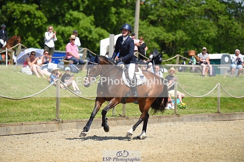 230528-112652-15214 - 379-QUIZICAL_Z-Alice_Hallows-SUNTrotUp+SJ