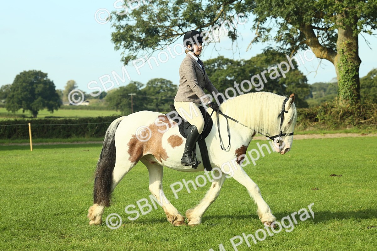 SBM_59847 - S38 - Starters Ridden Showing