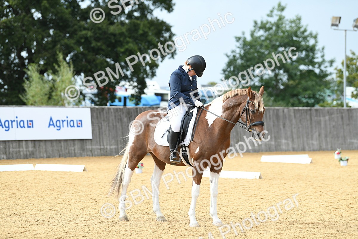 SBM_11036 - D28 Elementary Taster Elementary 42