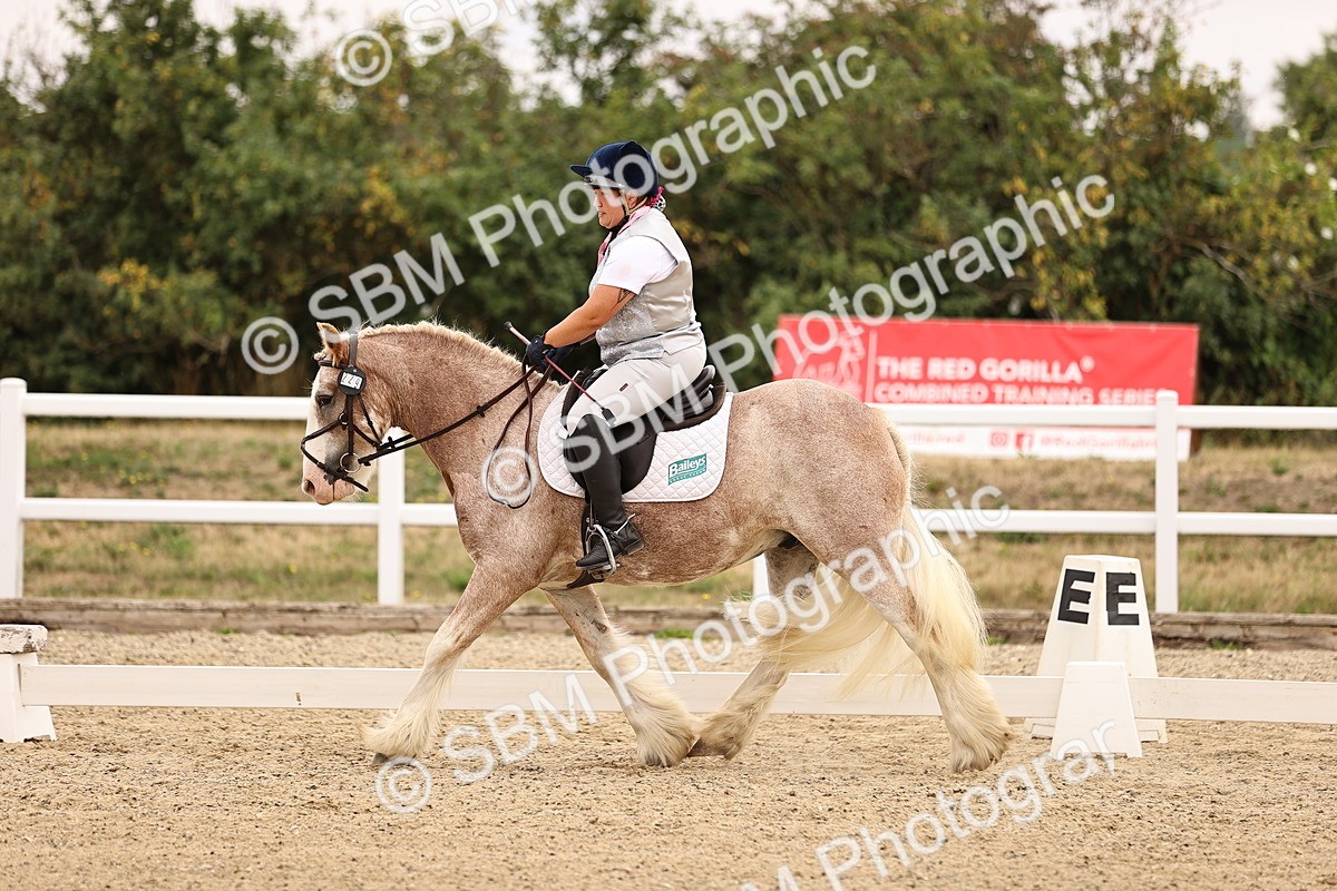 SBM_006423 - Intro 3 - 9.46-10.46