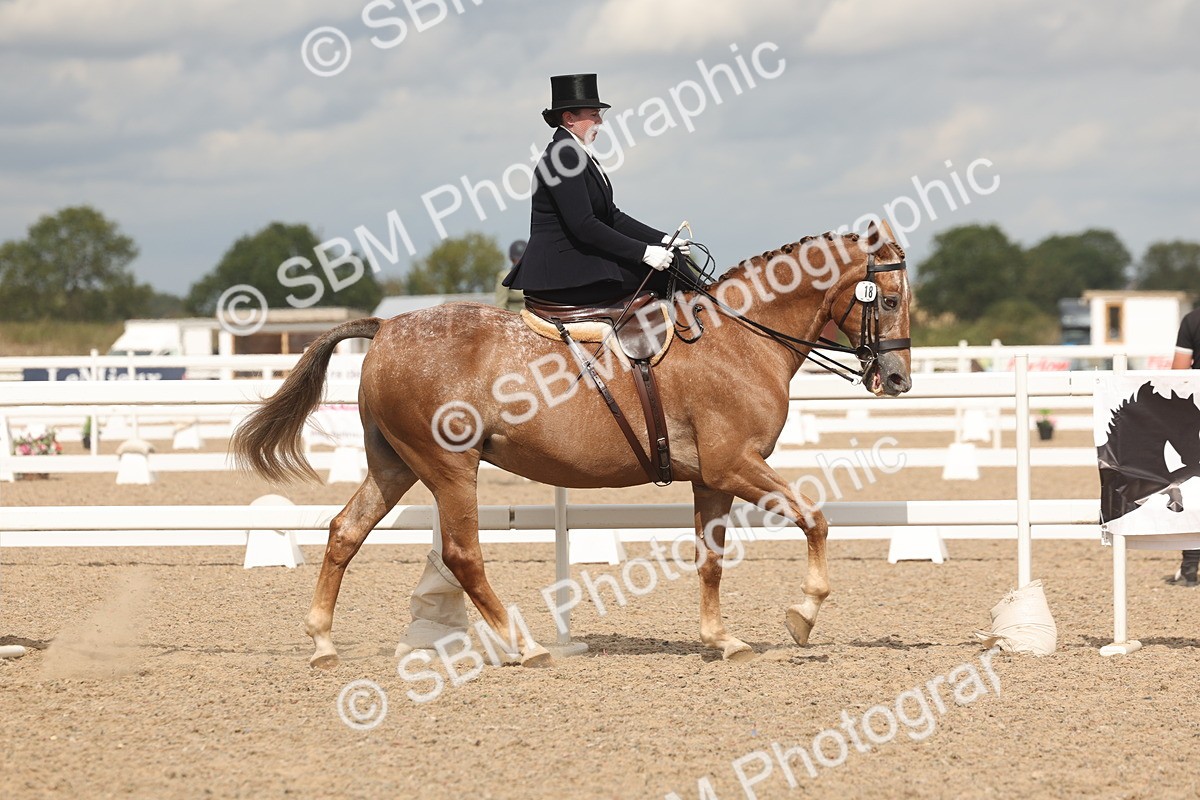 SBM_06371 - Class 22 - SSA - Equitation