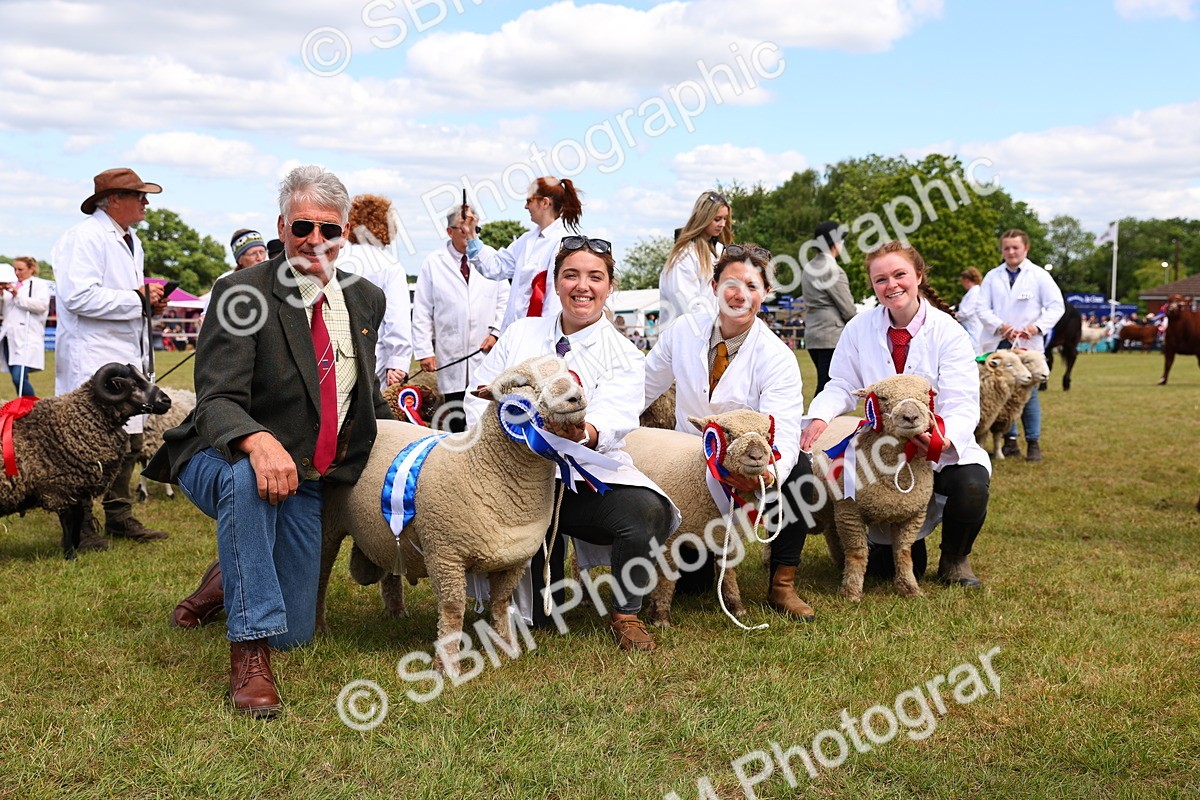 SBM_16962 - Grand Parade