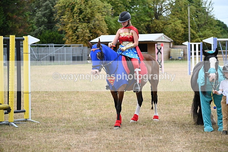 WJ6_9090 - Class 11 Fancy Dress