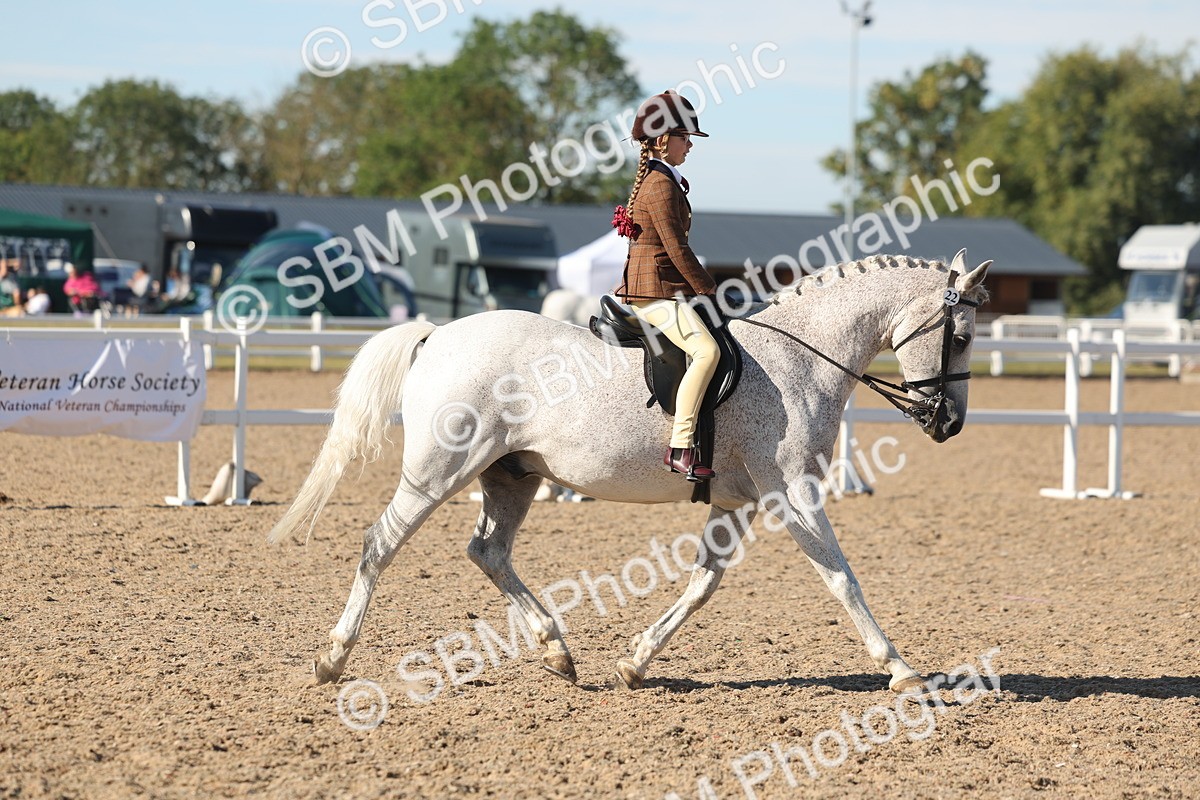 SBM_12333 - Class 304 - Ridden part Bred Horse Pony