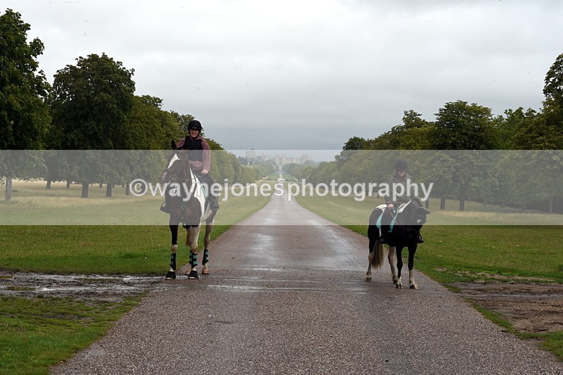 TT3_8275 - Time at Crossing 10:16 to 11:38