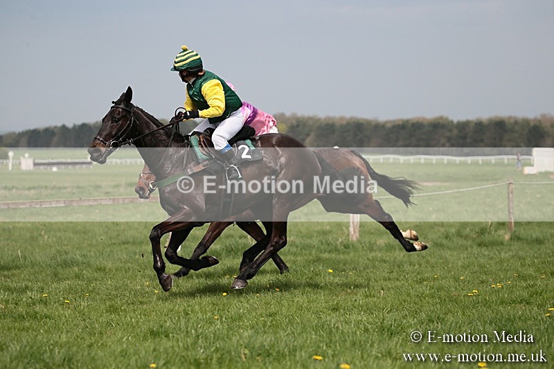 PtP 210418 38 - South & West Wilts Point-to-Point Larkhill 21/04/18