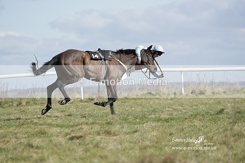 PtP 260223 495 - South & West Wilts Point-to-Point Larkhill 26/02/23