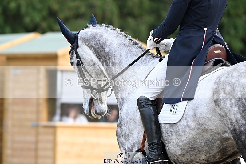 231019-161035-05267 - 067-WHIXLEY.QUALITAS-Barnie.Brotherton-DR