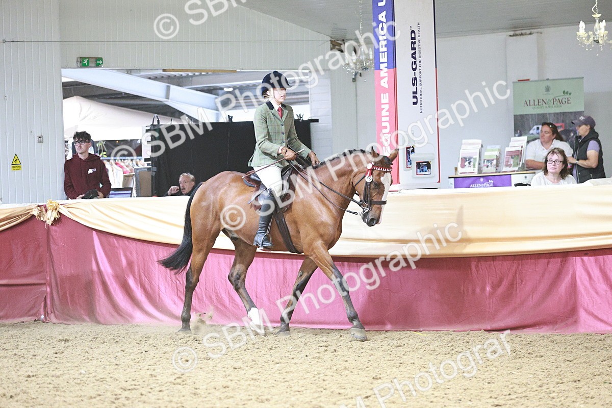 SBM_08822 - Class 12R - Regional Ridden Pre-Vet