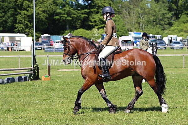 IMG_3892 - Working Hunter