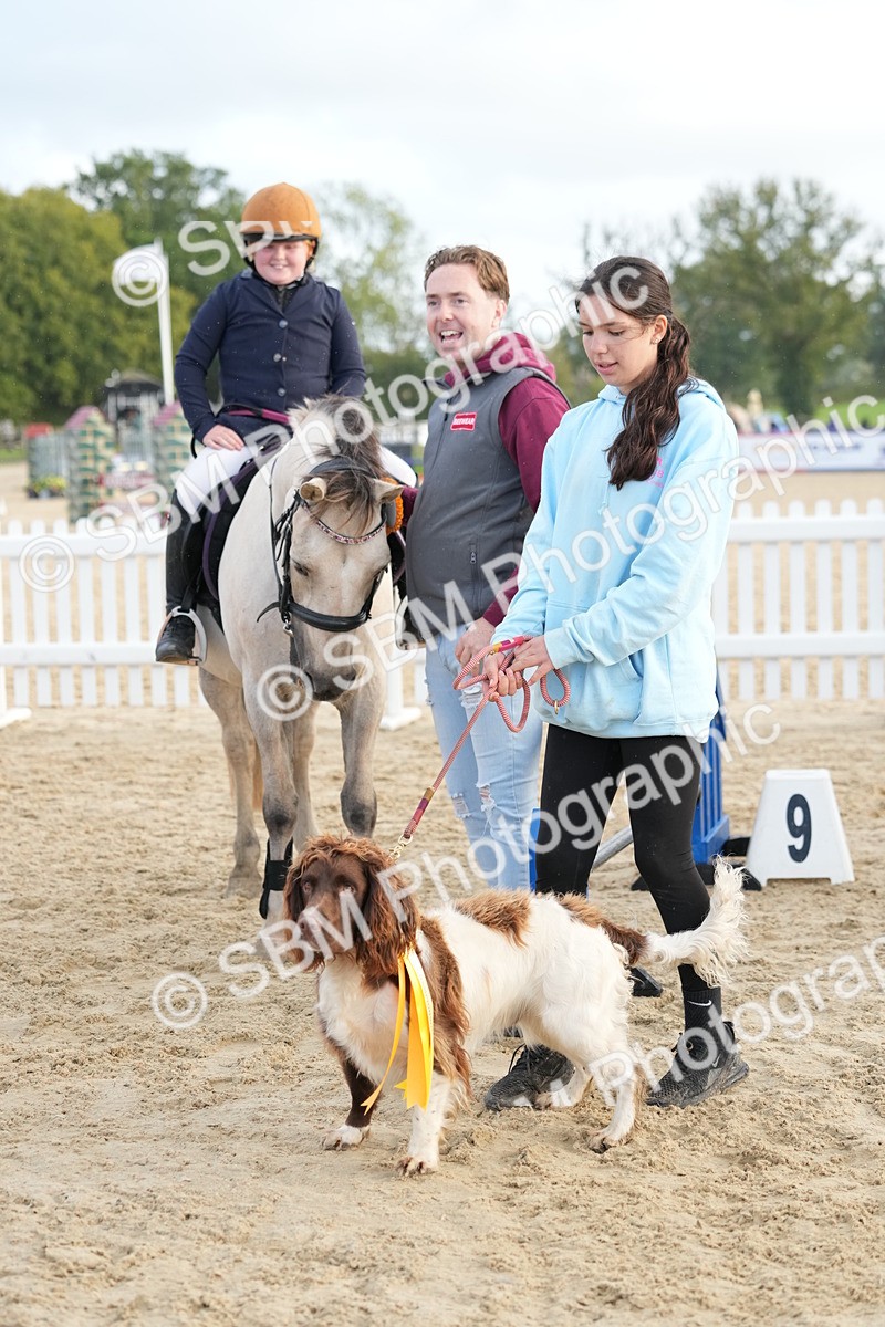 SBM_29235 - J43 - Horse & Hound Open 50cm