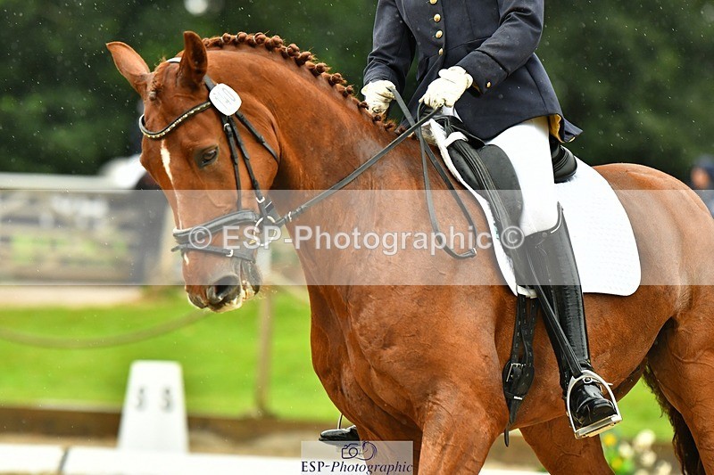 230722-154815-03766 - Cls 5, Elementary Silver 15.10 to End