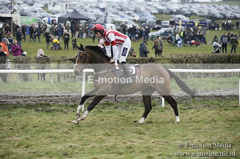 PtP 020418 -121 - Old Berks Point-to-Point Races Easter Monday 02/04/18