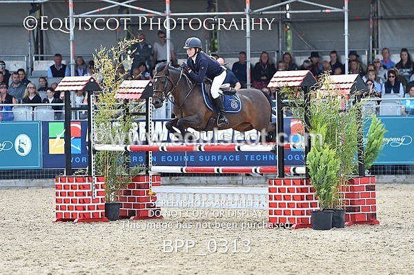 BPP_0313 - RHS 2019 Selection - *Just some random spectator shots so Lucky Dip if you are there!