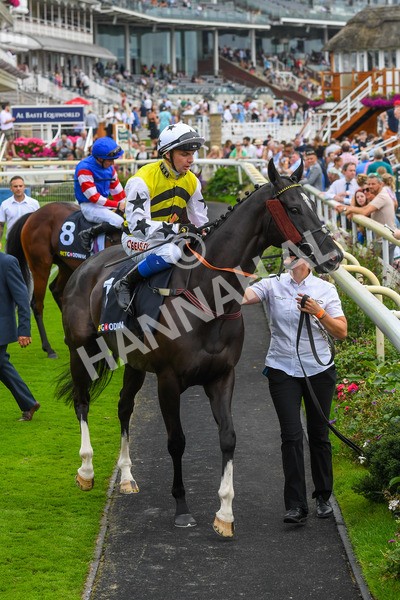 100923-Race 5-Commanche Falls-0843 - Race 5 3.50pm BetGoodwin Garrowby Stakes
