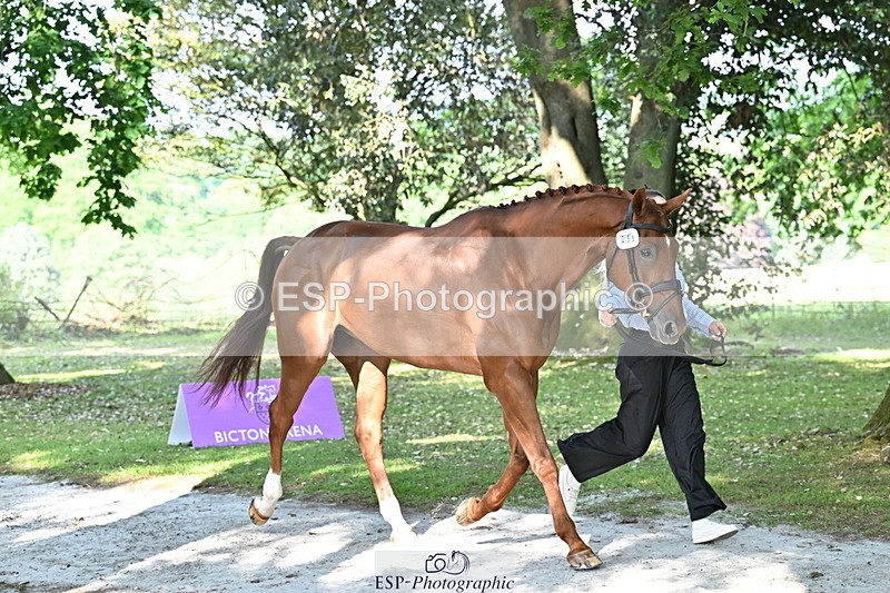 250521A-164730-01333 - C-259-Jasmine.Holmes-MSH.BONANZA