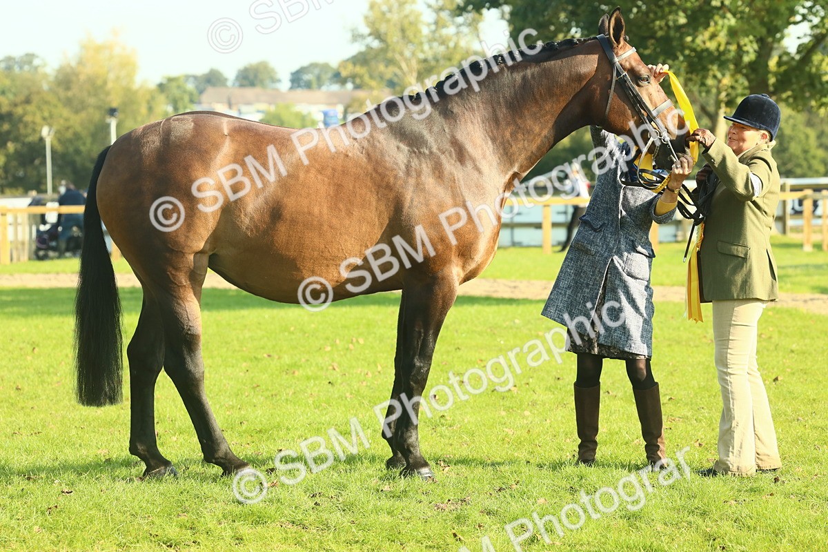 SBM_58629 - S37 - Starters In Hand Showing