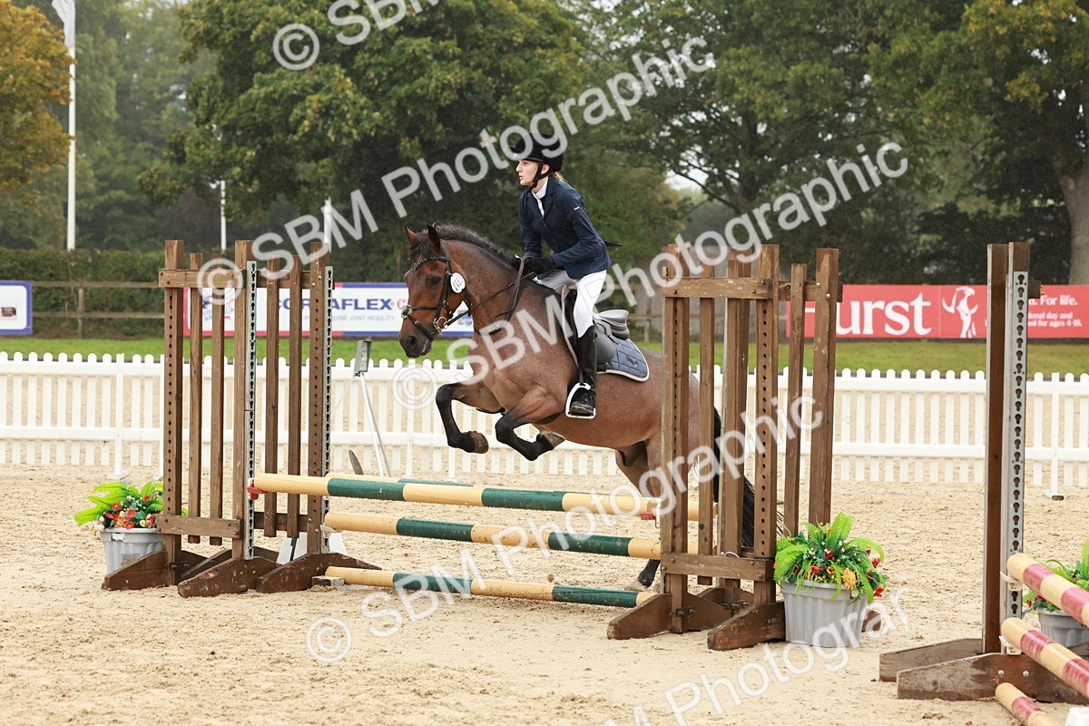 SBM_73267 - Supreme Championship Junior Pony 60cm & 65cm