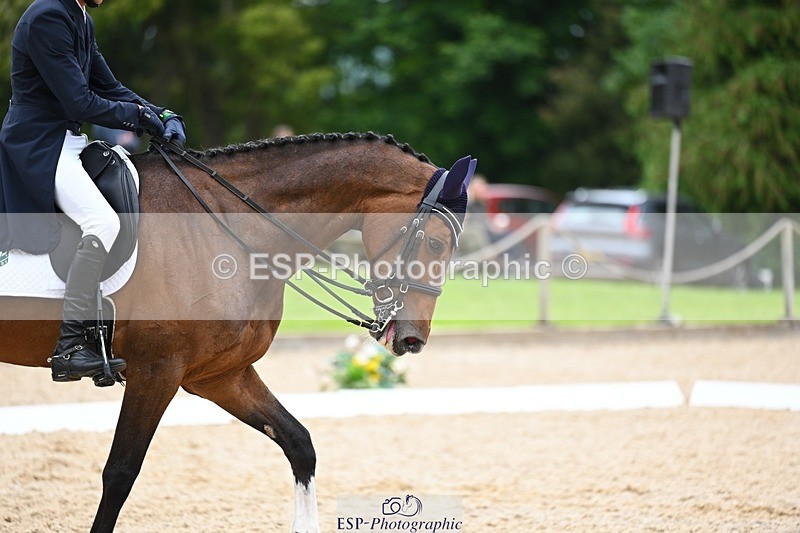 240524-153136-10509 - 535-ZARAGOZA_II-Gaspard_Maksud