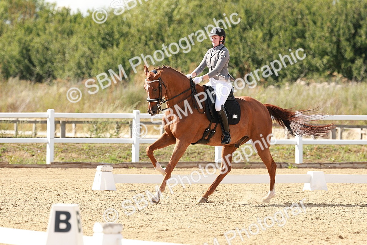 SBM_002561 - Class 11 - Medium 6