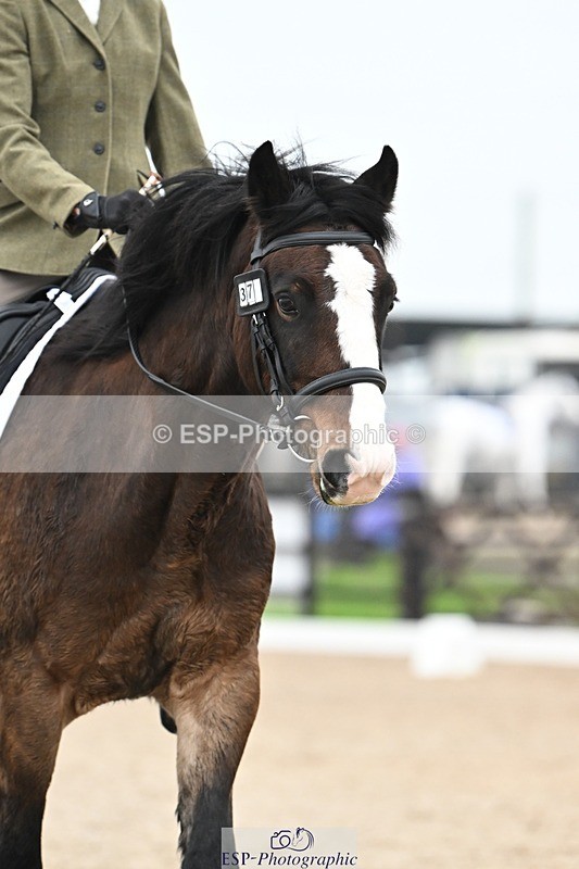 241103-102444-00332 - Intro 3 - 9.40 to 10.40