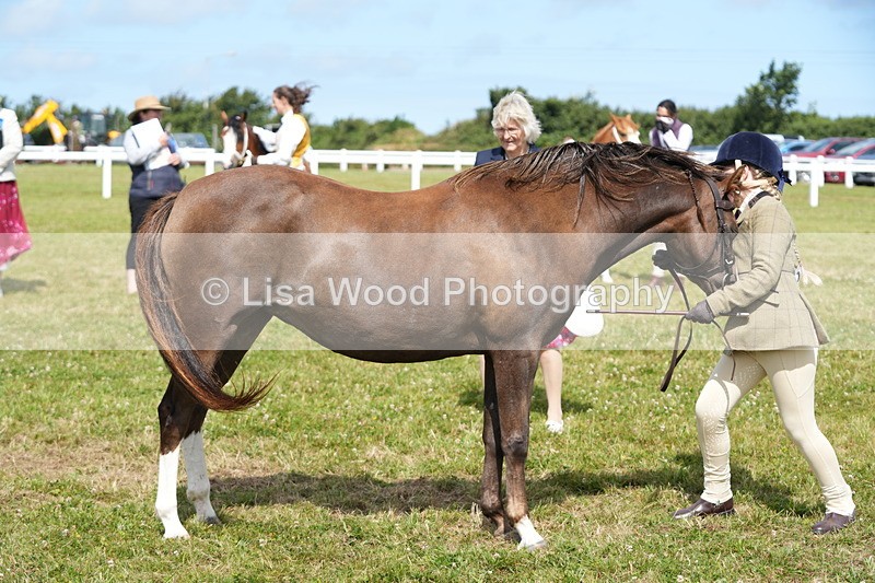 DSC05547 - Class 50: NPS M&M 4 years and over Small Breeds