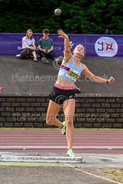 Sen25SUN-929676 - Field Female Set Two