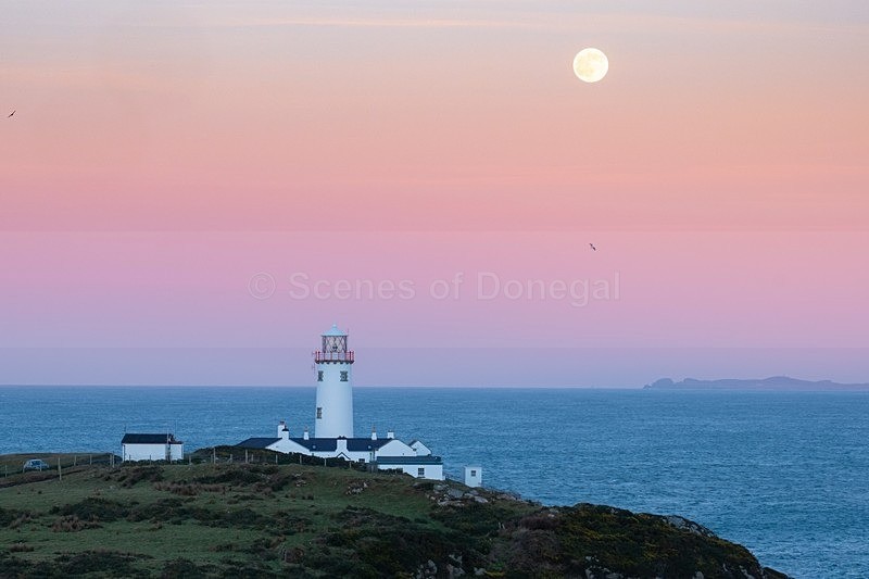 _MF26878 - Fanad Lighthouse