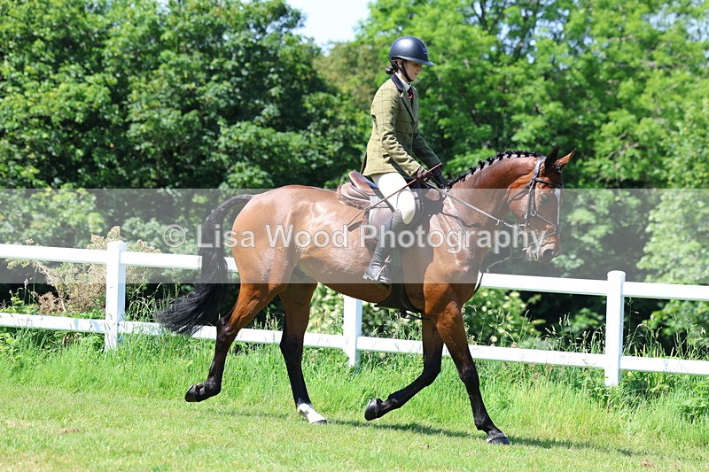 3E7A7164 - Class 30: Novice Working Hunter